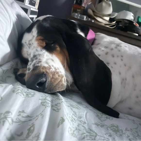 Hello friends! - Picture 5 of 16